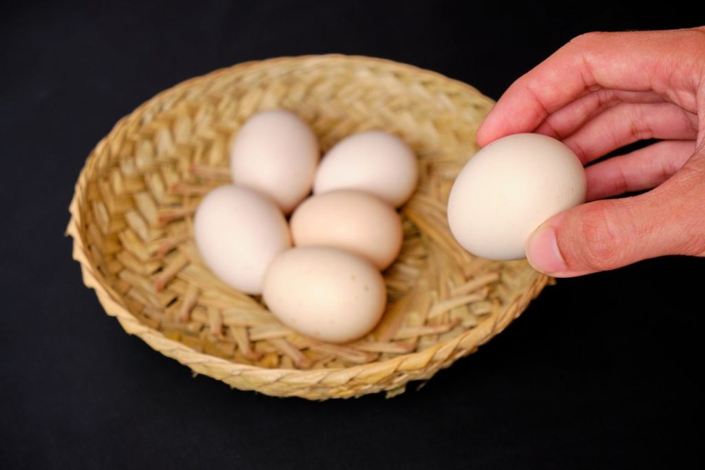 Apa saja sih,,Manfaat Telur Ayam Kampung Yang Perlu Kita Ketahui. 